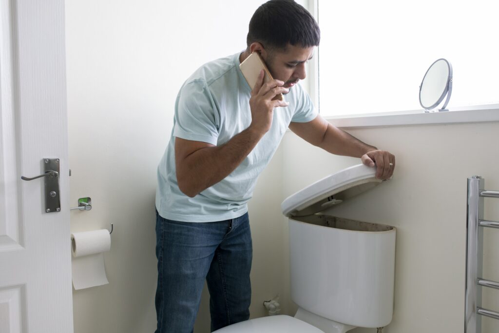 looking in toilet tank